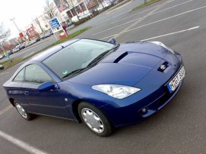 15032008076 komprimiert.jpg