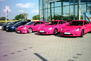 Celi-Treffen 002_800x542.jpg