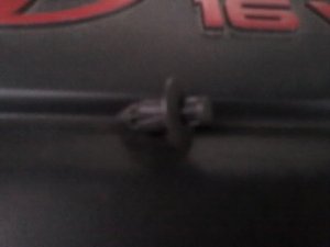 27052010061.jpg