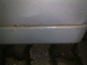 28052010083123.jpg