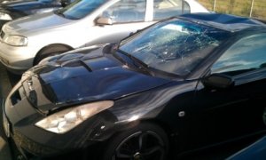 IMAG0081.jpg