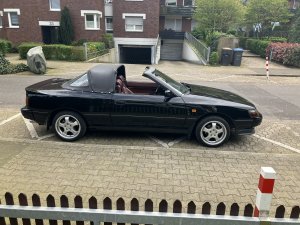 IMG_4129.jpeg