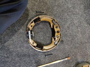 IMG_20240810_202542.jpg