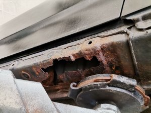 rost_t23_a.jpg