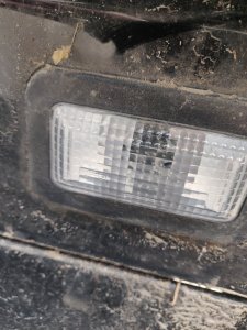 IMG_20241129_133930.jpg