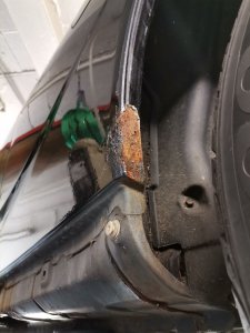 rost_t23_c.jpg