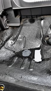 IMG_5484.jpeg IMG_5484.jpeg