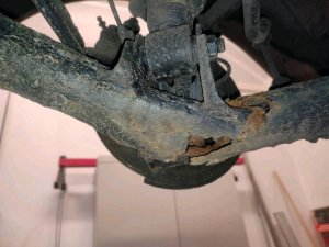 rost_t23_jan25_5.jpg