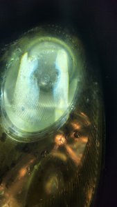 20250222_190949.jpg