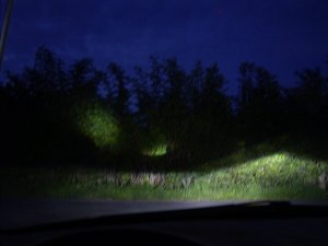 lichtpunkte.jpg