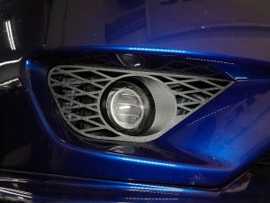 20250406_141945-6.jpg