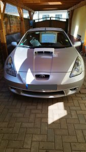 IMG_20250409_180302.jpg IMG_20250409_180302.jpg