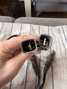 IMG_3645.jpeg IMG_3645.jpeg