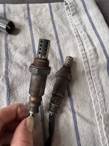 IMG_3648.jpeg IMG_3648.jpeg