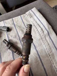 IMG_3649.jpeg IMG_3649.jpeg