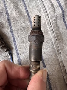 IMG_3650.jpeg IMG_3650.jpeg