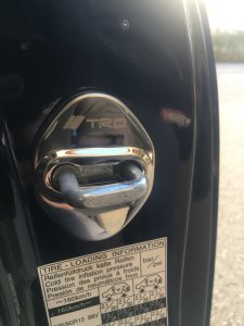 IMG_4560.jpeg