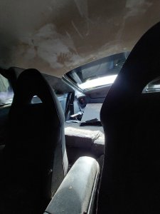 20250430_172456.jpg