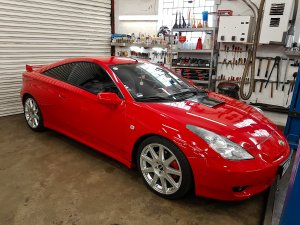bencelica1.jpg