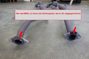 ralf9.jpg