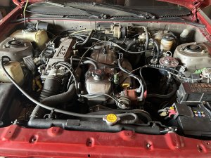 IMG_7134.jpeg