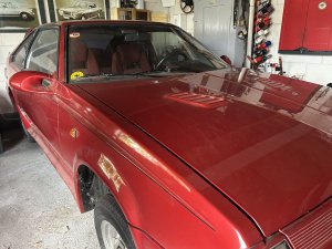 IMG_7132.jpeg
