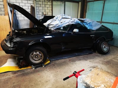 celicasupra.jpg