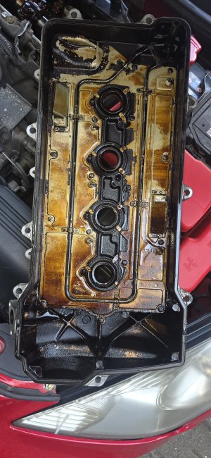 117821.jpg