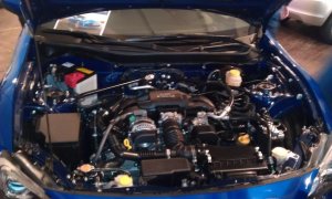 IMAG0250.jpg