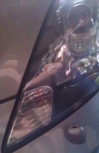 IMAG0239.jpg