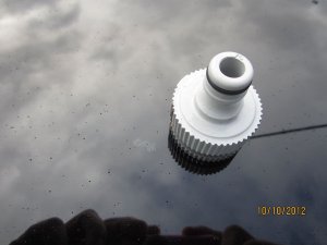 IMG_0817.JPG