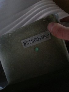 971515_571383956227647_840155419_n.jpg