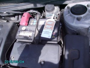 PICT0133.jpg