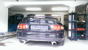IMAG0229.jpg
