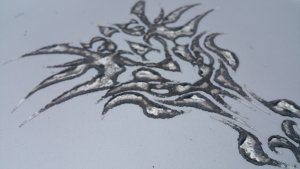 20180216_164214.jpg