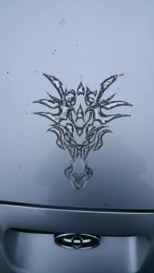 20180216_164208.jpg