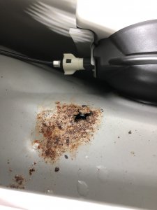 637DCC67-F28B-46E8-A0DD-2EEFDE52EF4A.jpeg 637DCC67-F28B-46E8-A0DD-2EEFDE52EF4A.jpeg