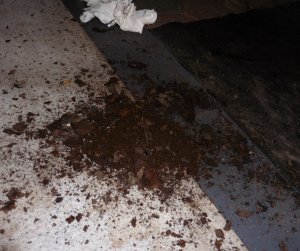 Celi_Rosthaufen.jpg Celi_Rosthaufen.jpg