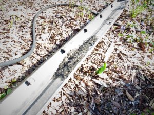 Celi_Schweller_links5.jpg Celi_Schweller_links5.jpg