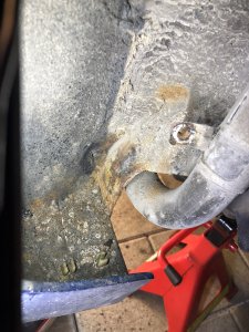 C10BC8BE-A740-416C-9390-8212DB665CE0.jpeg C10BC8BE-A740-416C-9390-8212DB665CE0.jpeg