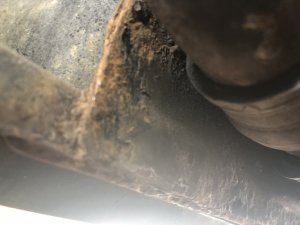 EEA491DC-DC41-4056-AF76-954F5908AFC5.jpeg EEA491DC-DC41-4056-AF76-954F5908AFC5.jpeg