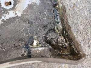 6_fett.jpg 6_fett.jpg