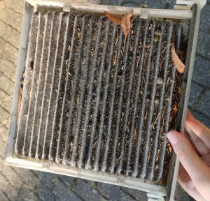 11_pollenfilter.jpg 11_pollenfilter.jpg