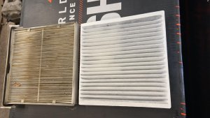 WhatsApp Image 2020-11-11 at 11.38.38.jpeg WhatsApp Image 2020-11-11 at 11.38.38.jpeg