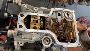 WhatsApp Image 2020-11-29 at 13.44.32.jpeg WhatsApp Image 2020-11-29 at 13.44.32.jpeg