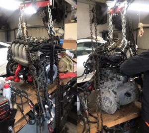 Celi progress_1.jpg Celi progress_1.jpg