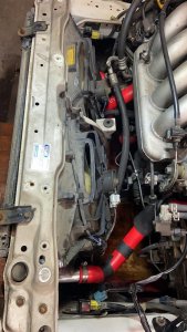 WhatsApp Image 2021-01-12 at 19.21.17.jpeg