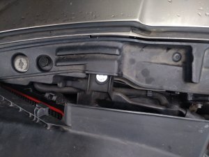 IMG_20210810_110324.jpg