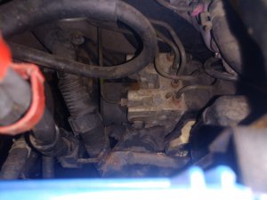 IMG_20220105_164133.jpg