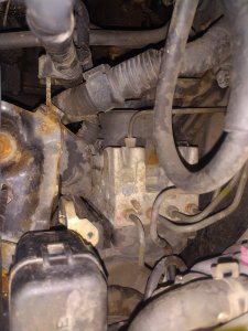 IMG_20220105_164052.jpg